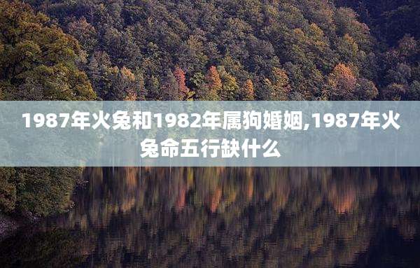 1987年火兔和1982年属狗婚姻,1987年火兔命五行缺什么