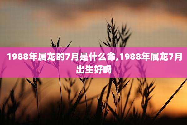 1988年属龙的7月是什么命,1988年属龙7月出生好吗