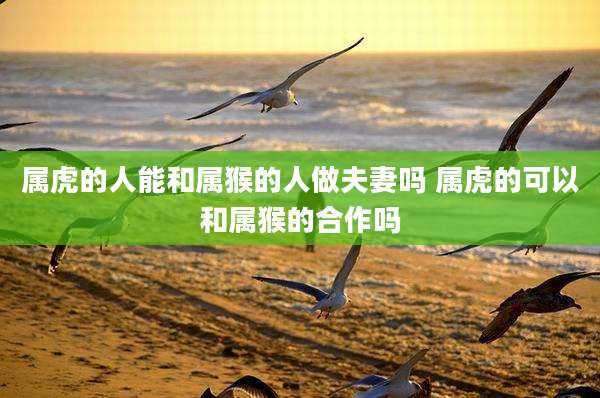 属虎的人能和属猴的人做夫妻吗 属虎的可以和属猴的合作吗