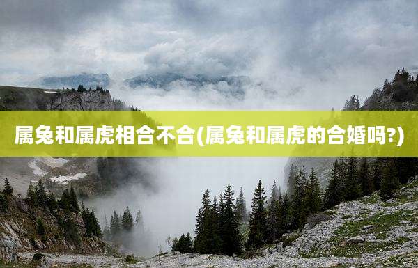属兔和属虎相合不合(属兔和属虎的合婚吗?)