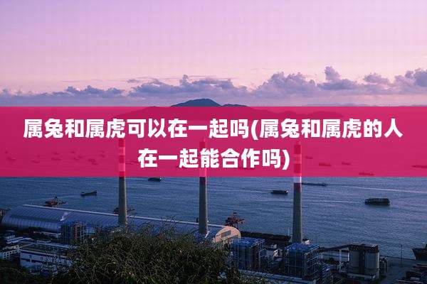 属兔和属虎可以在一起吗(属兔和属虎的人在一起能合作吗)