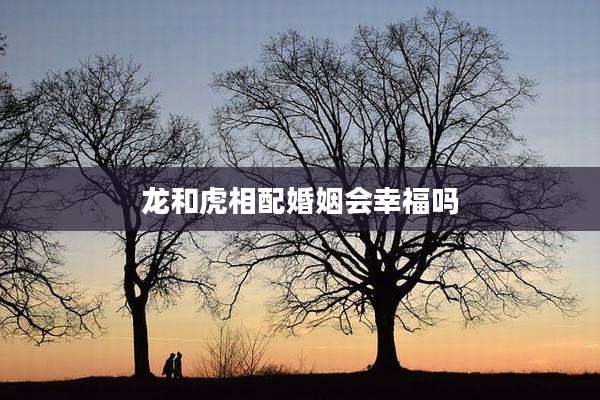 龙和虎相配婚姻会幸福吗