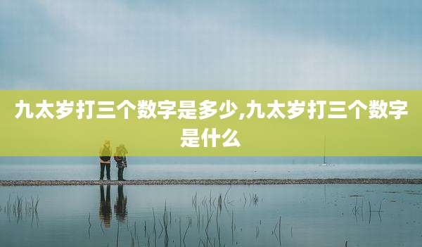 九太岁打三个数字是多少,九太岁打三个数字是什么