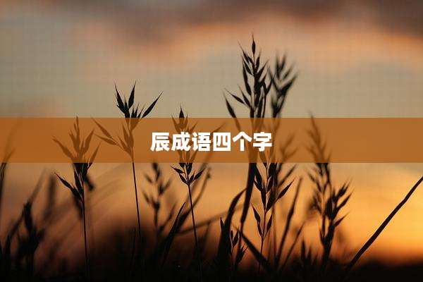 辰成语四个字