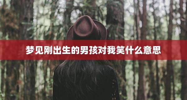 梦见刚出生的男孩对我笑什么意思