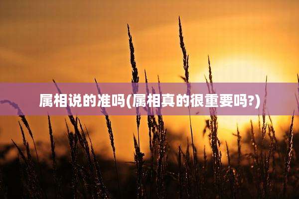 属相说的准吗(属相真的很重要吗?)