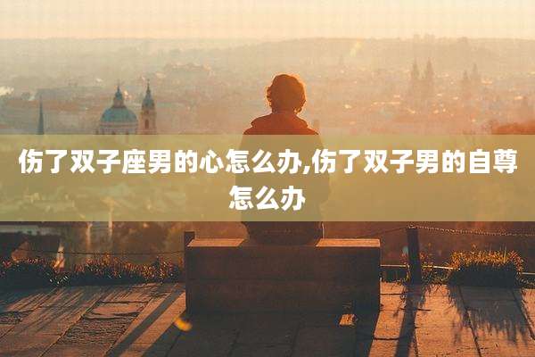 伤了双子座男的心怎么办,伤了双子男的自尊怎么办