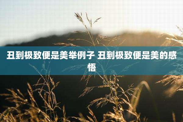 丑到极致便是美举例子 丑到极致便是美的感悟