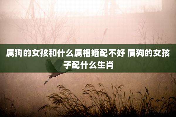 属狗的女孩和什么属相婚配不好 属狗的女孩子配什么生肖