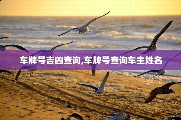 车牌号吉凶查询,车牌号查询车主姓名