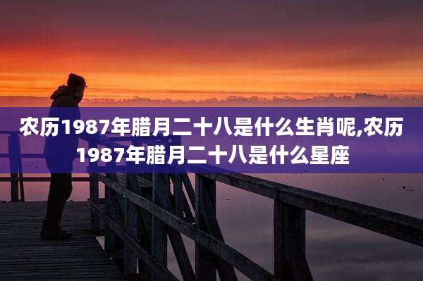 农历1987年腊月二十八是什么生肖呢,农历1987年腊月二十八是什么星座
