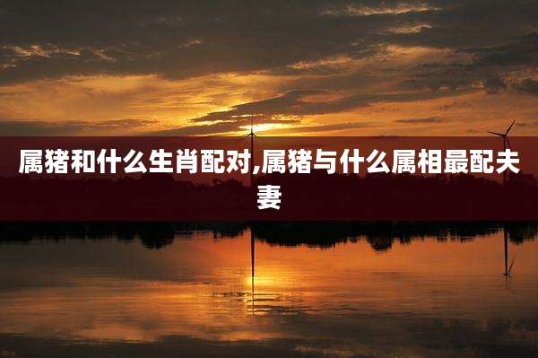 属猪和什么生肖配对,属猪与什么属相最配夫妻