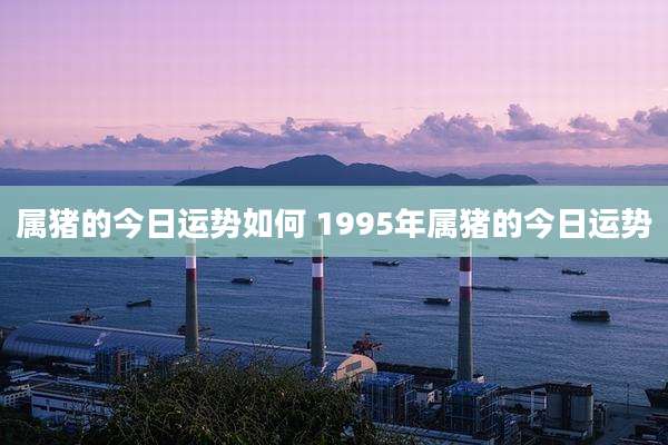 属猪的今日运势如何 1995年属猪的今日运势