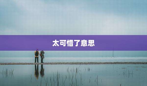太可惜了意思