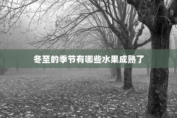 冬至的季节有哪些水果成熟了