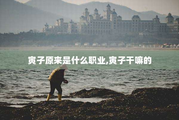 寅子原来是什么职业,寅子干嘛的