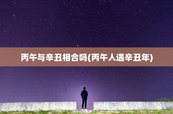 丙午与辛丑相合吗(丙午人遇辛丑年)