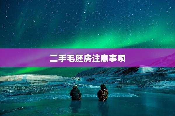 二手毛胚房注意事项