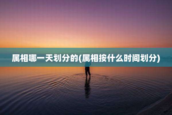 属相哪一天划分的(属相按什么时间划分)