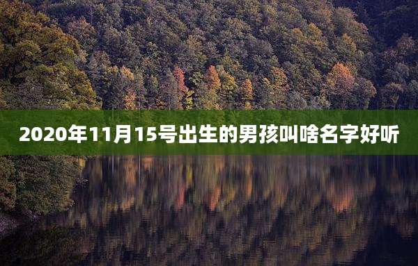 2020年11月15号出生的男孩叫啥名字好听