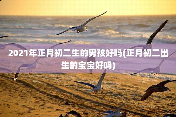 2021年正月初二生的男孩好吗(正月初二出生的宝宝好吗)