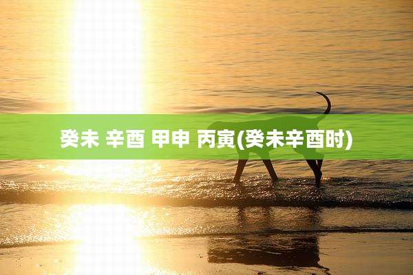 癸未 辛酉 甲申 丙寅(癸未辛酉时)