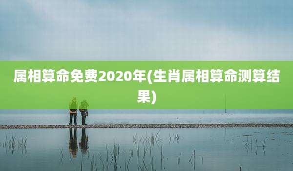 属相算命免费2020年(生肖属相算命测算结果)