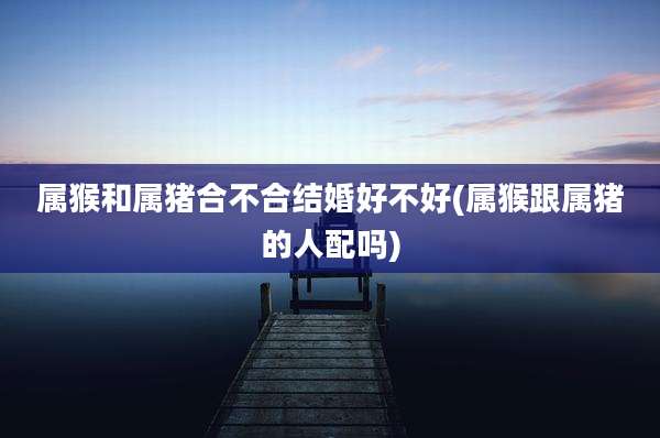 属猴和属猪合不合结婚好不好(属猴跟属猪的人配吗)