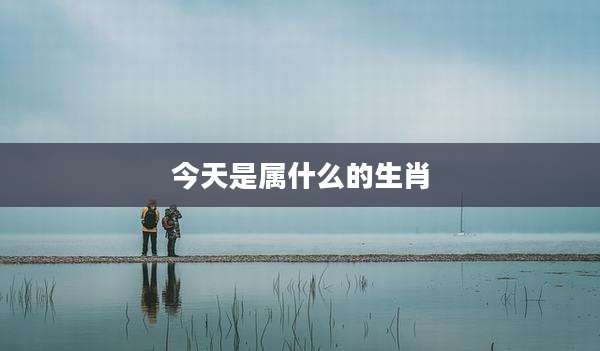 今天是属什么的生肖