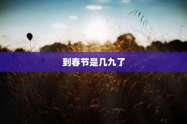 到春节是几九了