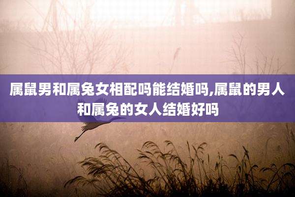 属鼠男和属兔女相配吗能结婚吗,属鼠的男人和属兔的女人结婚好吗