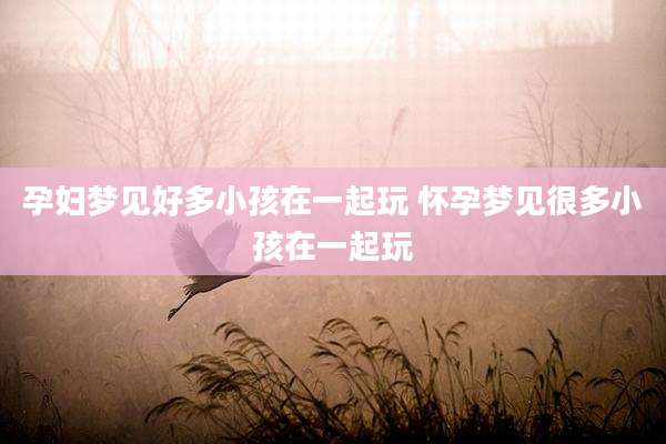 孕妇梦见好多小孩在一起玩 怀孕梦见很多小孩在一起玩