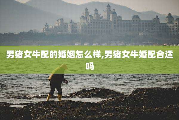 男猪女牛配的婚姻怎么样,男猪女牛婚配合适吗