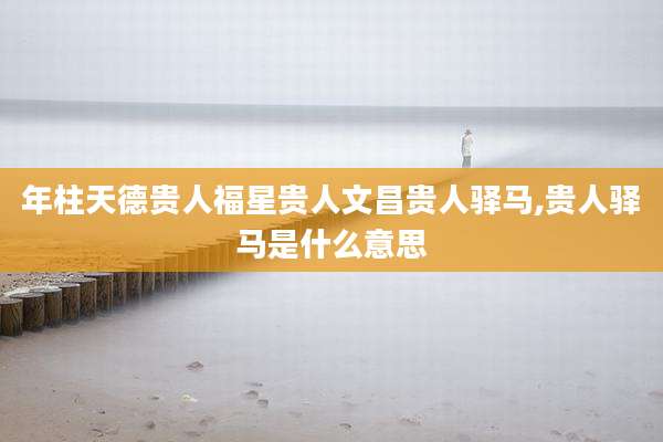 年柱天德贵人福星贵人文昌贵人驿马,贵人驿马是什么意思