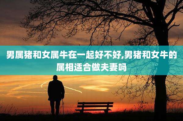 男属猪和女属牛在一起好不好,男猪和女牛的属相适合做夫妻吗