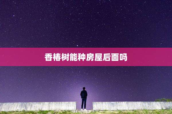香椿树能种房屋后面吗
