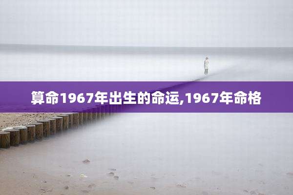 算命1967年出生的命运,1967年命格
