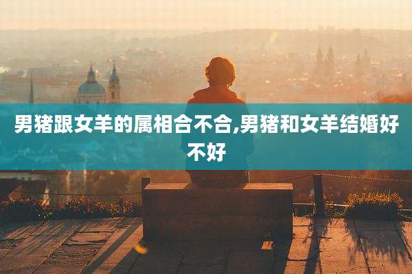 男猪跟女羊的属相合不合,男猪和女羊结婚好不好