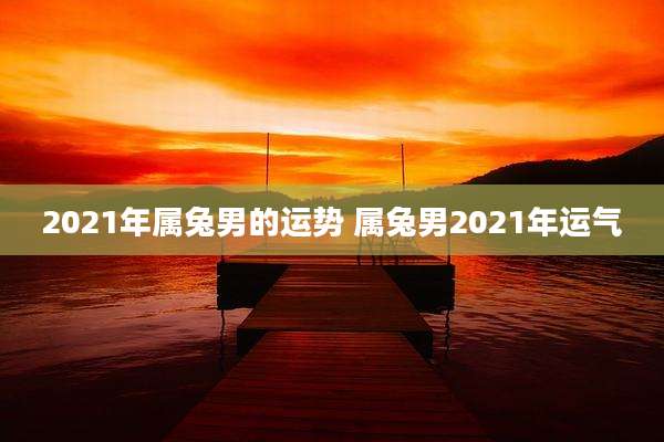 2021年属兔男的运势 属兔男2021年运气