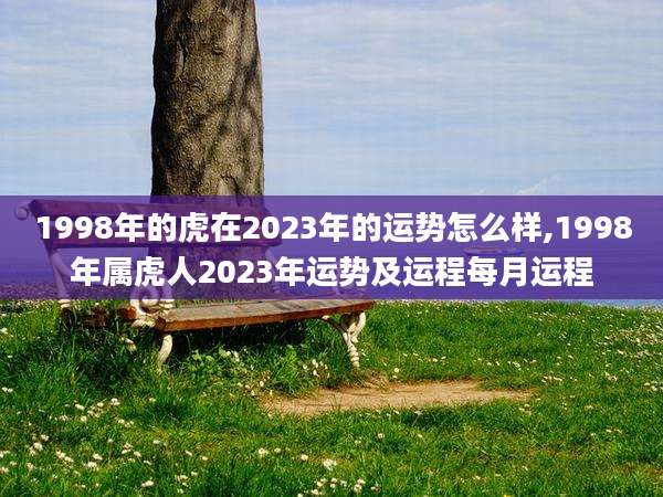 1998年的虎在2023年的运势怎么样,1998年属虎人2023年运势及运程每月运程