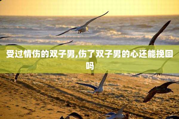 受过情伤的双子男,伤了双子男的心还能挽回吗