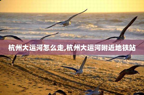 杭州大运河怎么走,杭州大运河附近地铁站