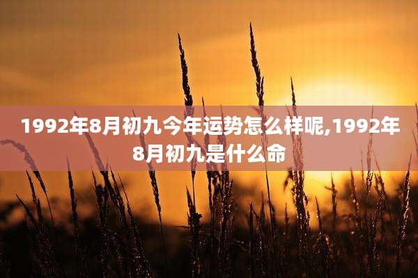 1992年8月初九今年运势怎么样呢,1992年8月初九是什么命