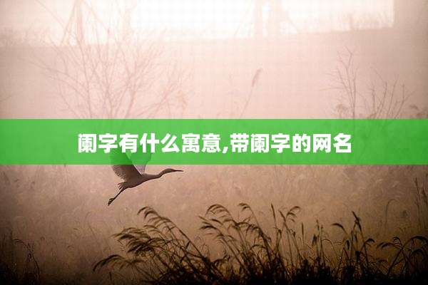 阑字有什么寓意,带阑字的网名