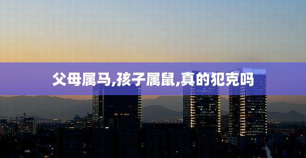 父母属马,孩子属鼠,真的犯克吗