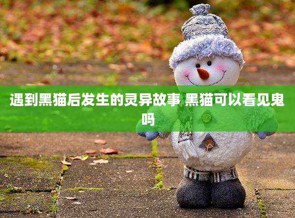 遇到黑猫后发生的灵异故事 黑猫可以看见鬼吗