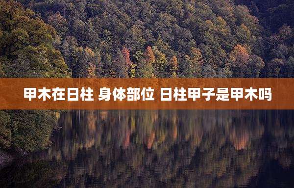 甲木在日柱 身体部位 日柱甲子是甲木吗