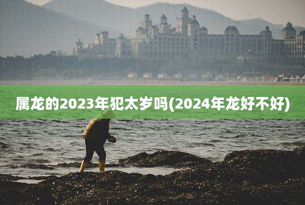 属龙的2023年犯太岁吗(2024年龙好不好)