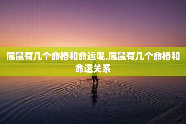 属鼠有几个命格和命运呢,属鼠有几个命格和命运关系