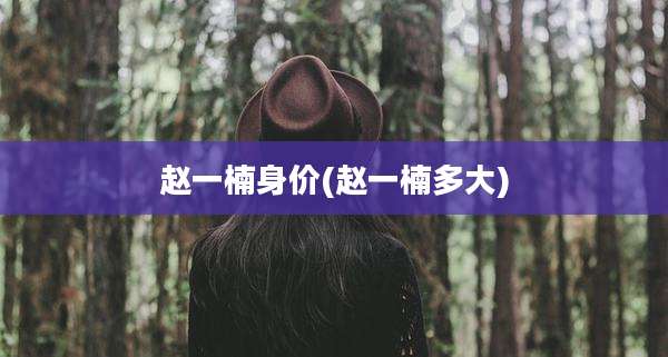 赵一楠身价(赵一楠多大)